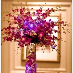 Meet your Posher, Yuli