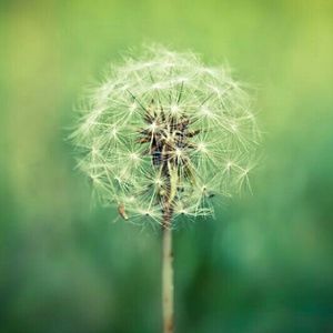 Meet your Posher, Trisha