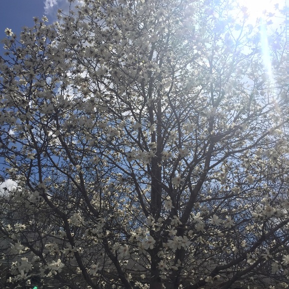 Meet your Posher, Emily - Picture 1 of 1