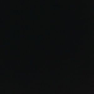 Meet your Posher, Tashika