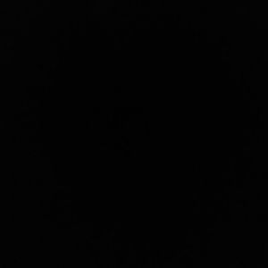 Meet your Posher, Silvia