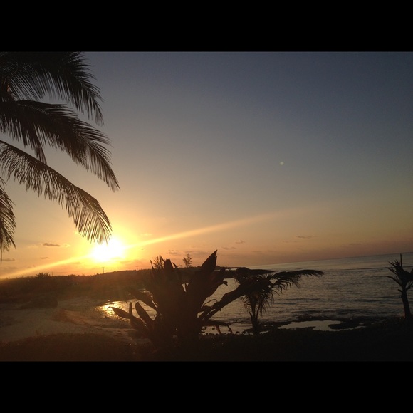 Meet your Posher, Julie - Picture 1 of 1