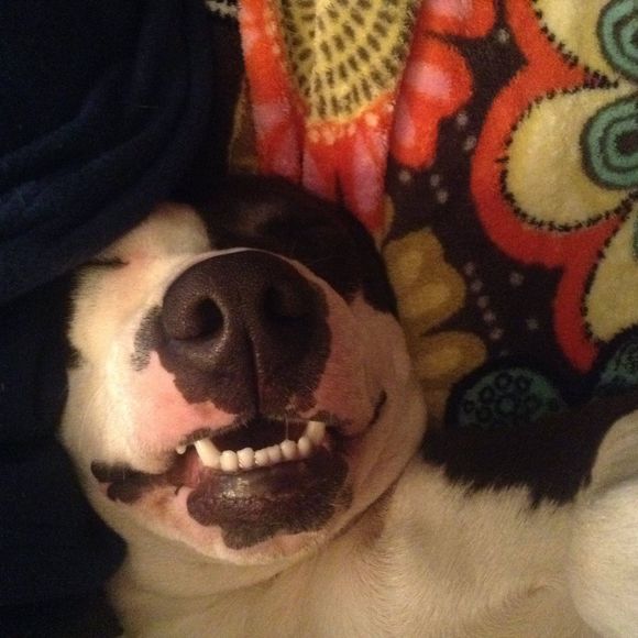 Meet your Posher, Jeanne