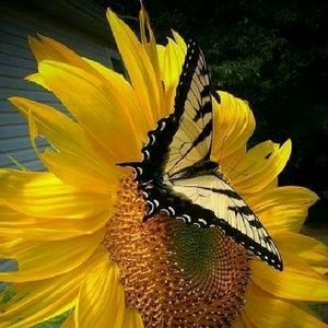 Meet your Posher, Rena