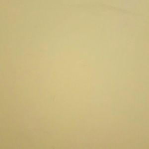 Meet your Posher, Bridgette