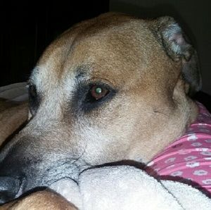 Meet your Posher, Tracy