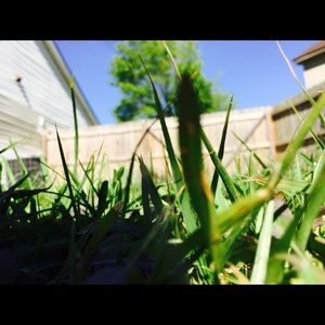 Meet your Posher, Iris