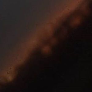 Meet your Posher, Britney