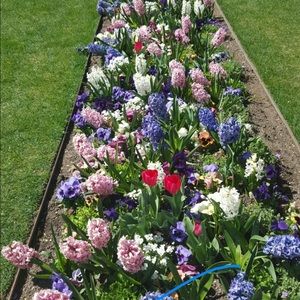 Meet your Posher, Crissy