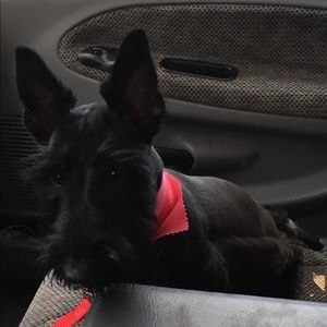 Meet your Posher, Sharon