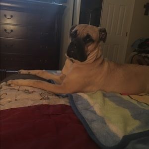 Meet your Posher, Christi