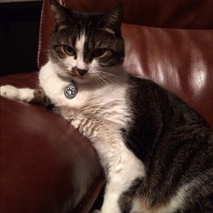 Meet your Posher, Cesar