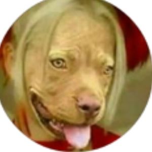 Meet your Posher, Damaris