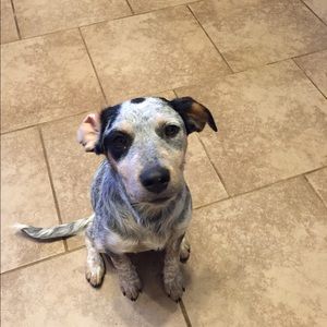 Meet your Posher, Ann