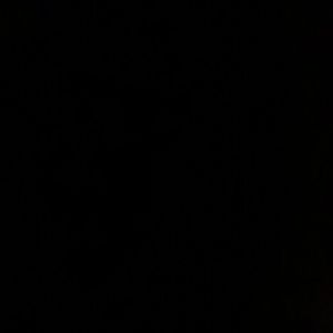 Meet your Posher, Priscilla