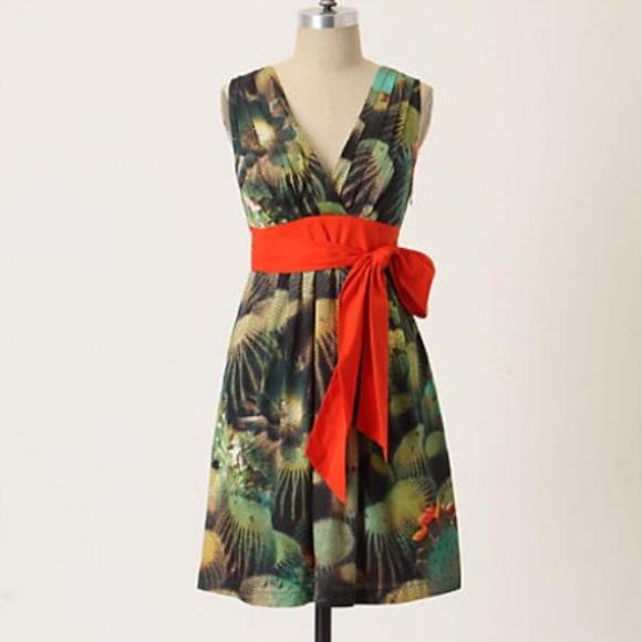 Anthropologie Dresses & Skirts - Anthropologie Oroya dress cacti
