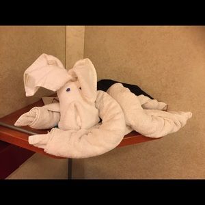 Meet your Posher, Elise