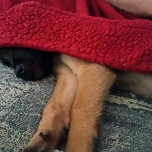 Meet your Posher, Trinity