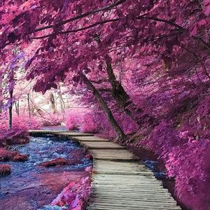 Meet your Posher, Dawn