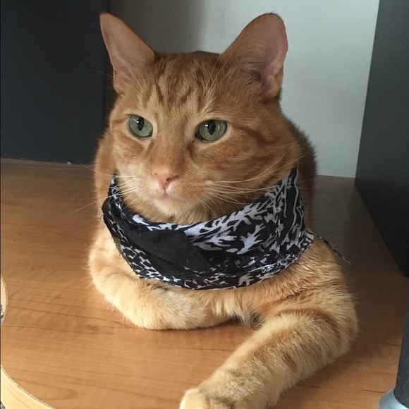 Meet your Posher, Chaela