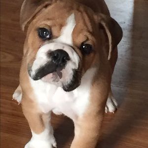 Meet your Posher, Karri