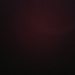 Meet your Posher, Allie