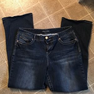 Maurices Jeans