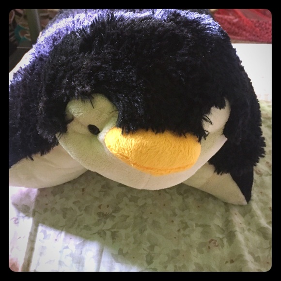 Pillow pet