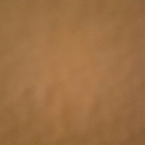 Meet your Posher, Monique