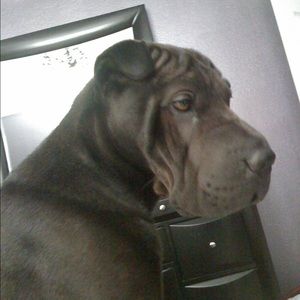 Meet your Posher, Cynthia