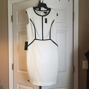 Dress from The Limited. NWT. Paid $98. Size 8.