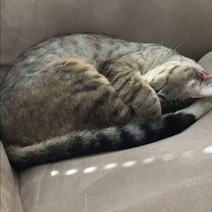 Meet your Posher, Jen