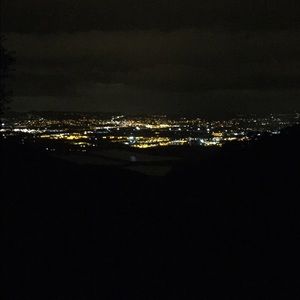 Meet your Posher, Damaris