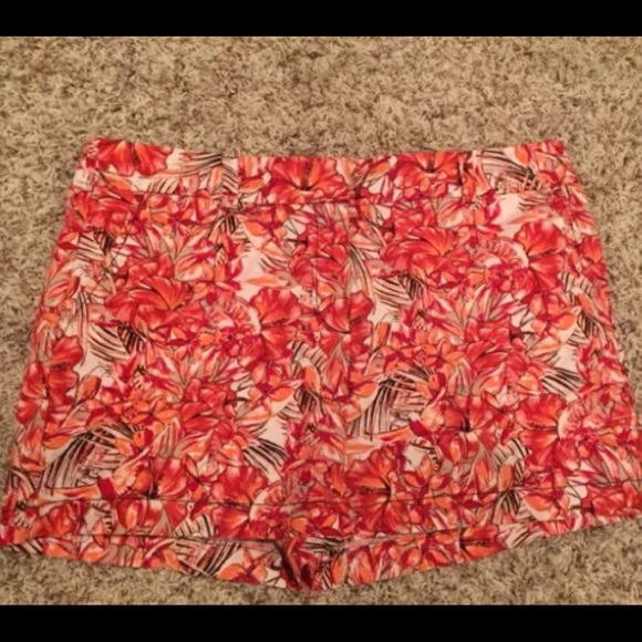 Beautiful Ann TaylorLoft  tropical shorts