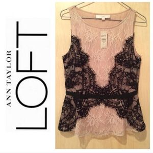 Beautiful dressy lace Loft fitted tank.