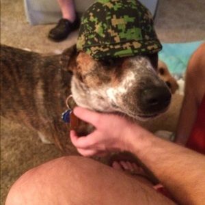 Meet your Posher, Mary ann