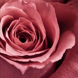 Meet your Posher, Rulmini