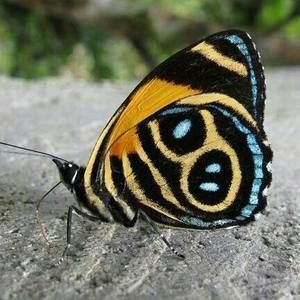 Meet your Posher, Rocio