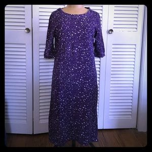 J Crew cotton sweater dress