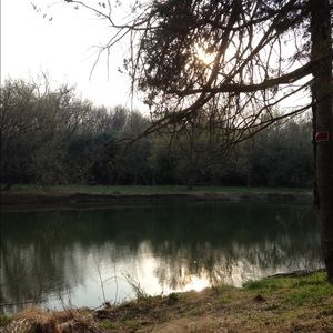 Meet your Posher, Bea