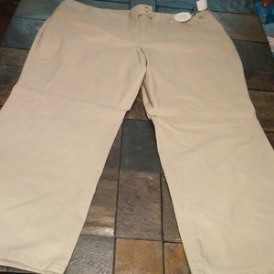 Cato Khaki Slacks