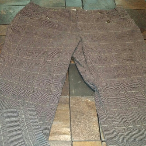 Cato Dress pants