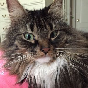 Meet your Posher, Victoria