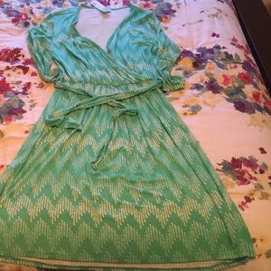 NWT stitch fix dress light green chevron