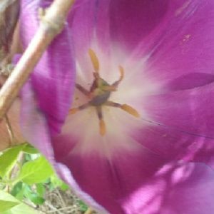 Meet your Posher, Katina