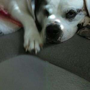 Meet your Posher, Pam