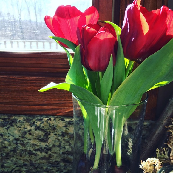 Meet your Posher, Kim