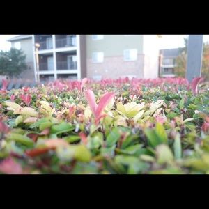 Meet your Posher, Tianxi