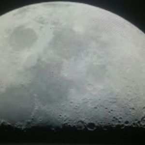 Meet your Posher, Carl