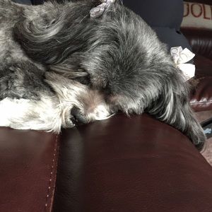 Meet your Posher, Aleia